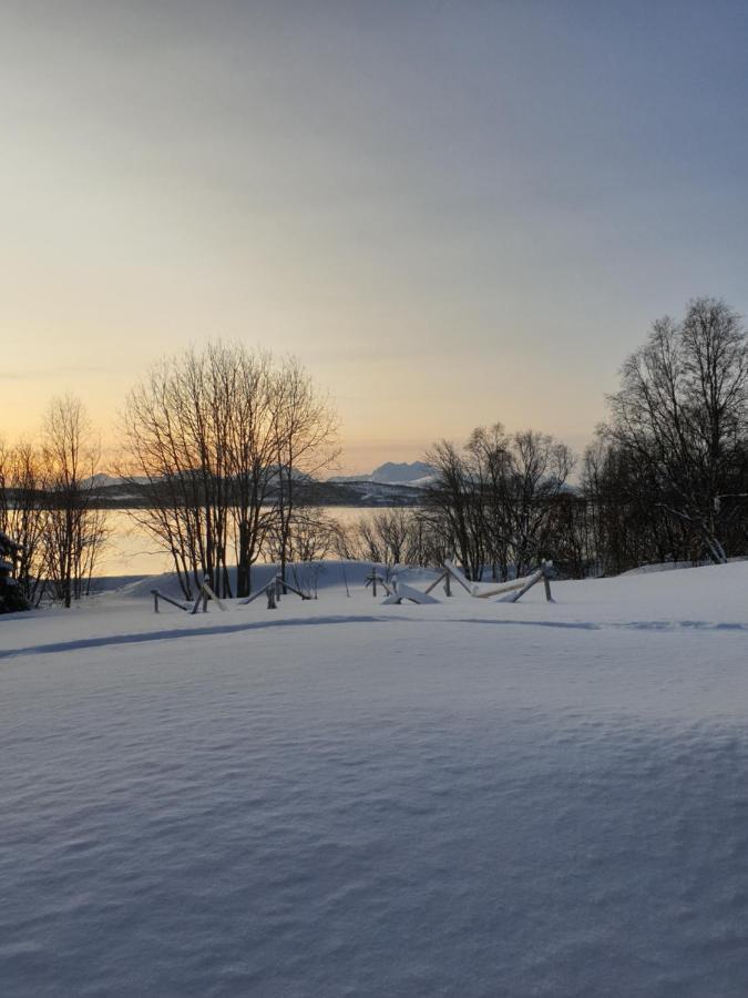 Strand Apartments Kvaloysletta Bagian luar foto